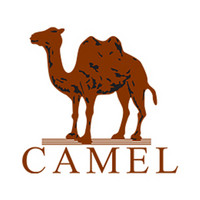 camel/骆驼